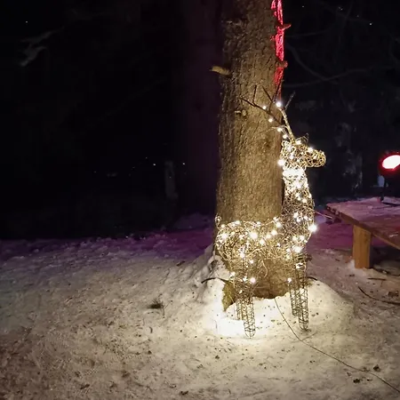 Bellevue * クラン